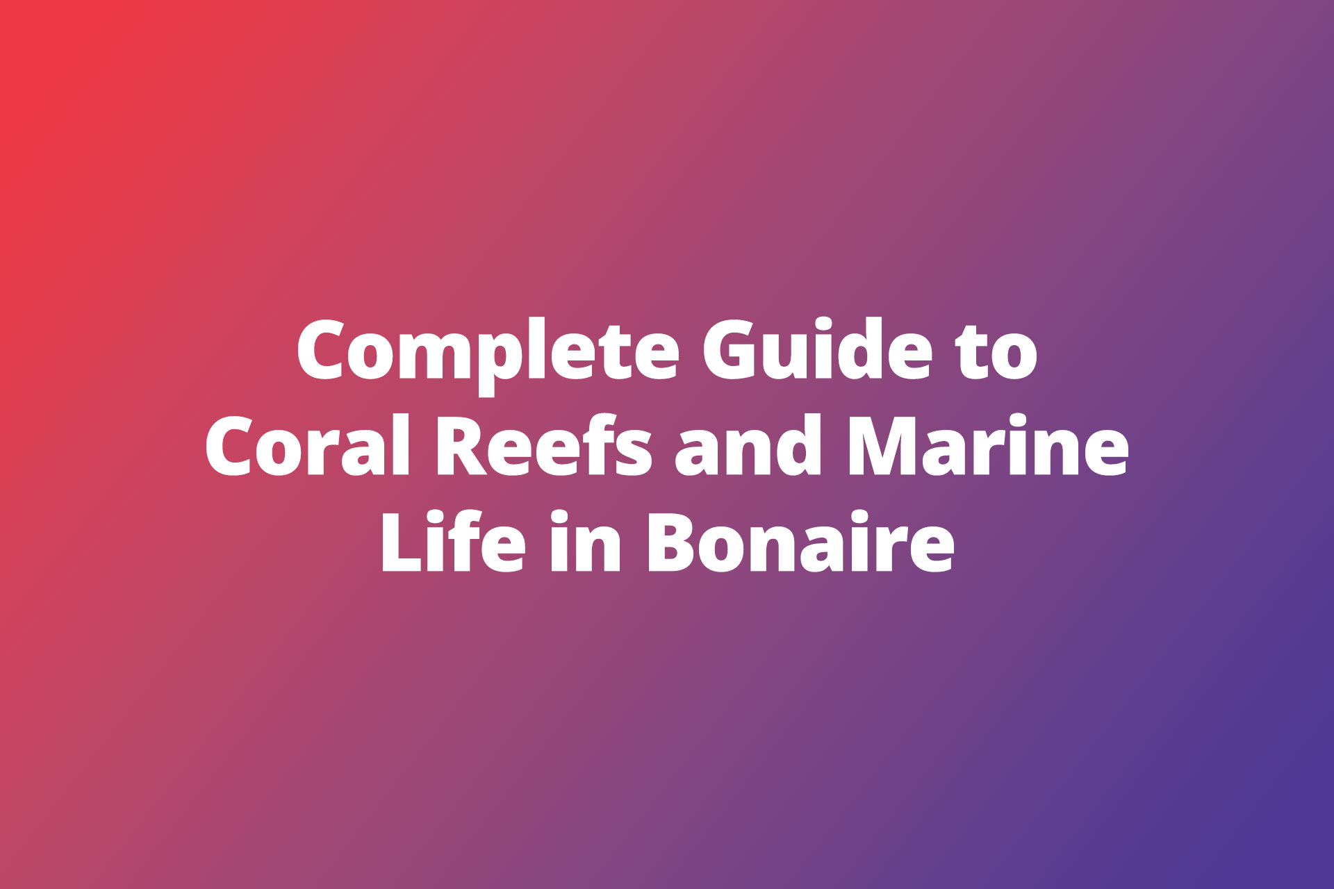 Complete Guide to Coral Reefs and Marine Life in Bonaire