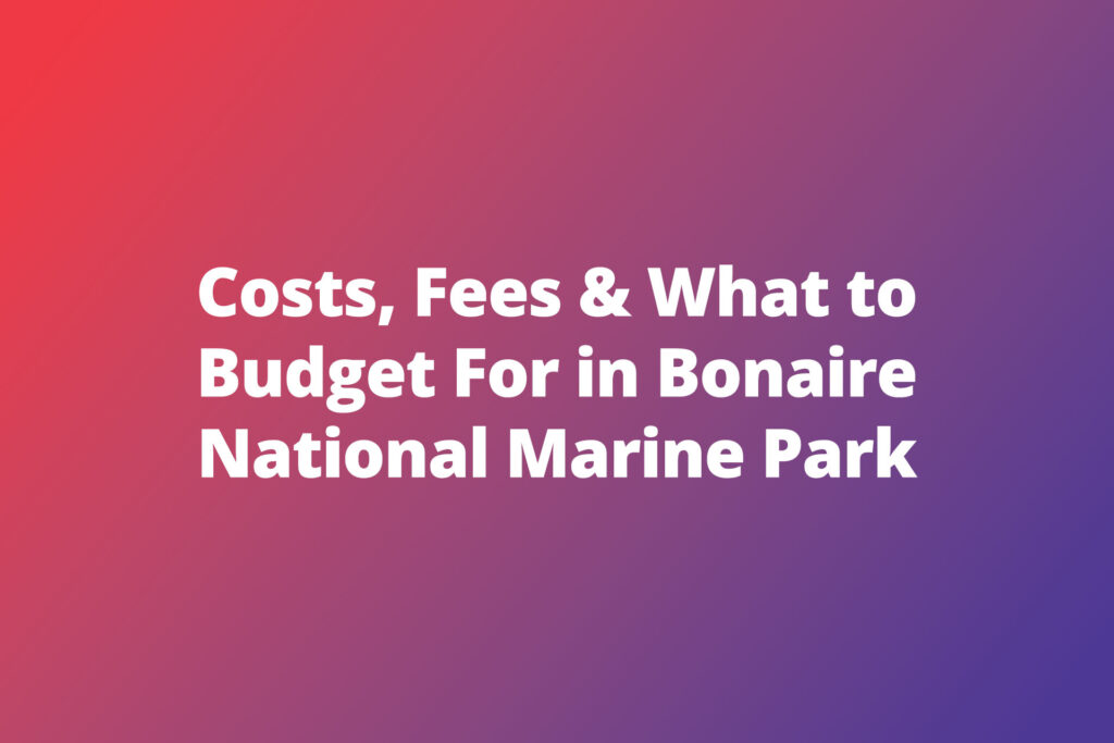 Costs, Fees & What to Budget For in Bonaire National Marine Park