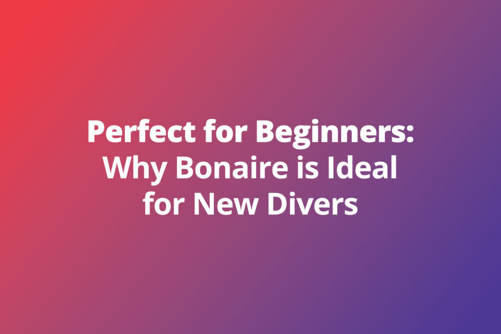 Perfect for Beginners: Why Bonaire is Ideal for New Divers