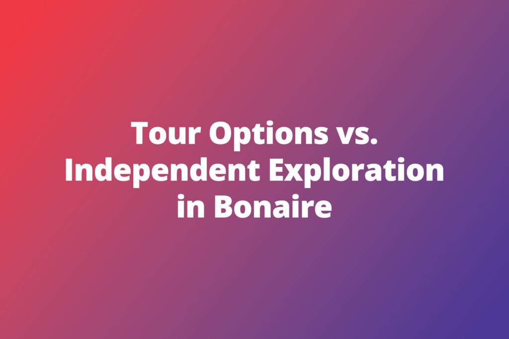 Tour Options vs. Independent Exploration in Bonaire