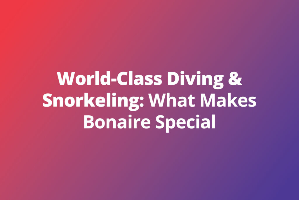 World-Class Diving & Snorkeling: What Makes Bonaire Special