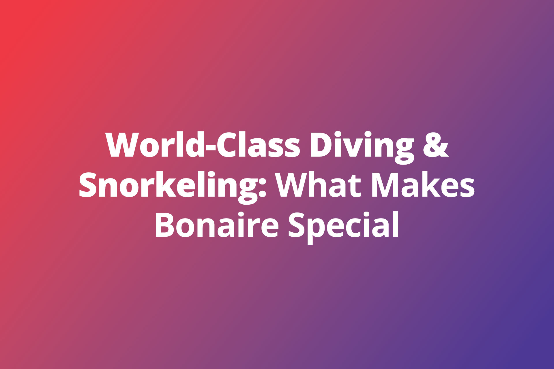 World-Class Diving & Snorkeling: What Makes Bonaire Special